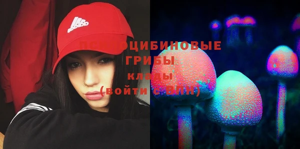 стаф Навашино