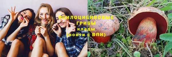 бошки Надым
