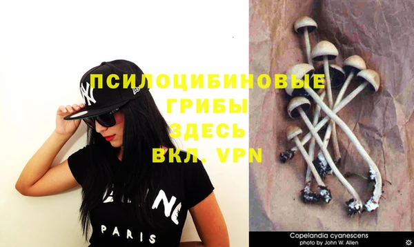 стаф Навашино