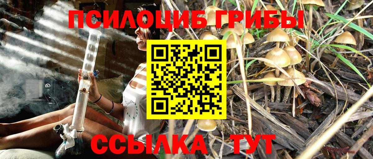 Галлюциногенные грибы Psilocybine cubensis Усолье-Сибирское